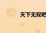 天下无双吧（天下无双私服）