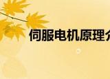 伺服电机原理介绍（伺服电机原理）