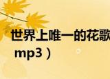 世界上唯一的花歌词平假名（世界上唯一的花 mp3）