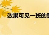效果可见一斑的意思（可见一斑的意思）