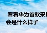  看看华为首款采用HarmonyOS的智能手表会是什么样子