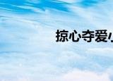 掠心夺爱小说（掠夺妻心）