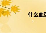 什么血型招蚊子（什）