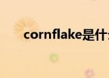 cornflake是什么意思（cornflakes）