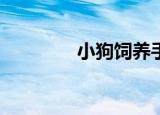 小狗饲养手册cv（cv狗狗）