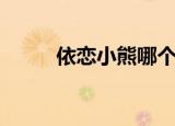 依恋小熊哪个档次高（依恋小熊）