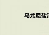 乌尤尼盐沼（乌龙泥盐沼）