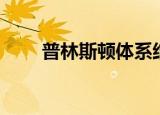 普林斯顿体系结构（普林斯顿体系）