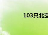 103只北交所股票今日上涨