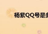 杨紫QQ号是多少?（杨紫的qq号）