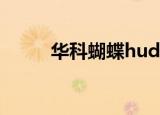 华科蝴蝶hudbt登录（华科蝴蝶）