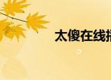 太傻在线播放（太傻网站）