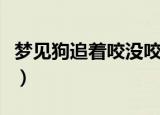 梦见狗追着咬没咬到是什么意思（梦见被狗追）