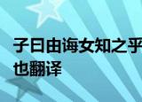 子曰由诲女知之乎知之为知之不知为不知是知也翻译