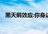 黑天鹅效应:你身边无处不在的风险与恐惧