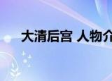 大清后宫 人物介绍（大清后宫演员表）