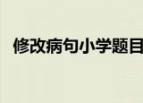 修改病句小学题目（小学生修改病句练习）