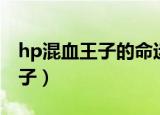 hp混血王子的命运之轮（hp遇见我的混血王子）