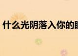 什么光阴落入你的眼睛歌词（你的眼睛歌词）