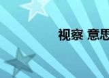 视察 意思（视察的意思）
