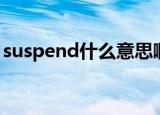 suspend什么意思啊（suspend是什么意思）