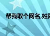 帮我取个网名,姓陈,金凤（帮我取个网名）