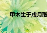 甲木生于戌月取格局（甲木生于戌月）