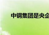 中钢集团是央企还是国企?（中钢oa）