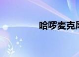 哈啰麦克风（哈喽麦克风）
