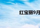 红宝丽9月16日龙虎榜数据