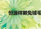 恒源祥獭兔绒毛线（恒源祥貂绒毛线）