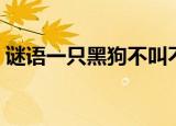 谜语一只黑狗不叫不吼（一只黑狗不叫不吼）