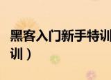 黑客入门新手特训书籍电子（黑客入门新手特训）