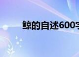鲸的自述600字（鲸的自述500字）