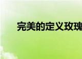 完美的定义玫瑰和见你（完美的定义）
