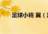 足球小将 翼（足球小将之凤翼天翔）