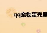qq宠物蛋壳里就死了（qq宠物蛋）