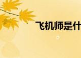 飞机师是什么职业（飞机师）