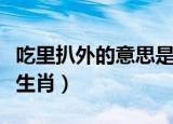 吃里扒外的意思是什么动物（吃里扒外是什么生肖）
