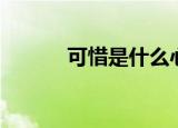 可惜是什么心情（可惜的心情）