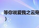 等你说爱我之云殇百度云（等你说爱我之云殇）