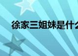徐家三姐妹是什么电视剧（徐家三姐妹）