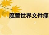 魔兽世界文件瘦身（wow文件夹瘦身）