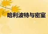 哈利波特与密室（哈利波特与密室秘籍）