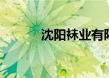 沈阳袜业有限公司（沈阳丝袜）