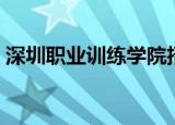 深圳职业训练学院招生（深圳职业训练学院）