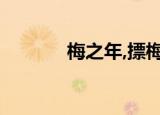 梅之年,摽梅之年（摽梅之年）
