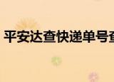 平安达查快递单号查询查（平安达快递查询）