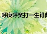 呼庚呼癸打一生肖数字（呼庚呼癸打一生肖）