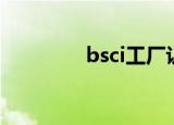 bsci工厂认证条件（b sc）